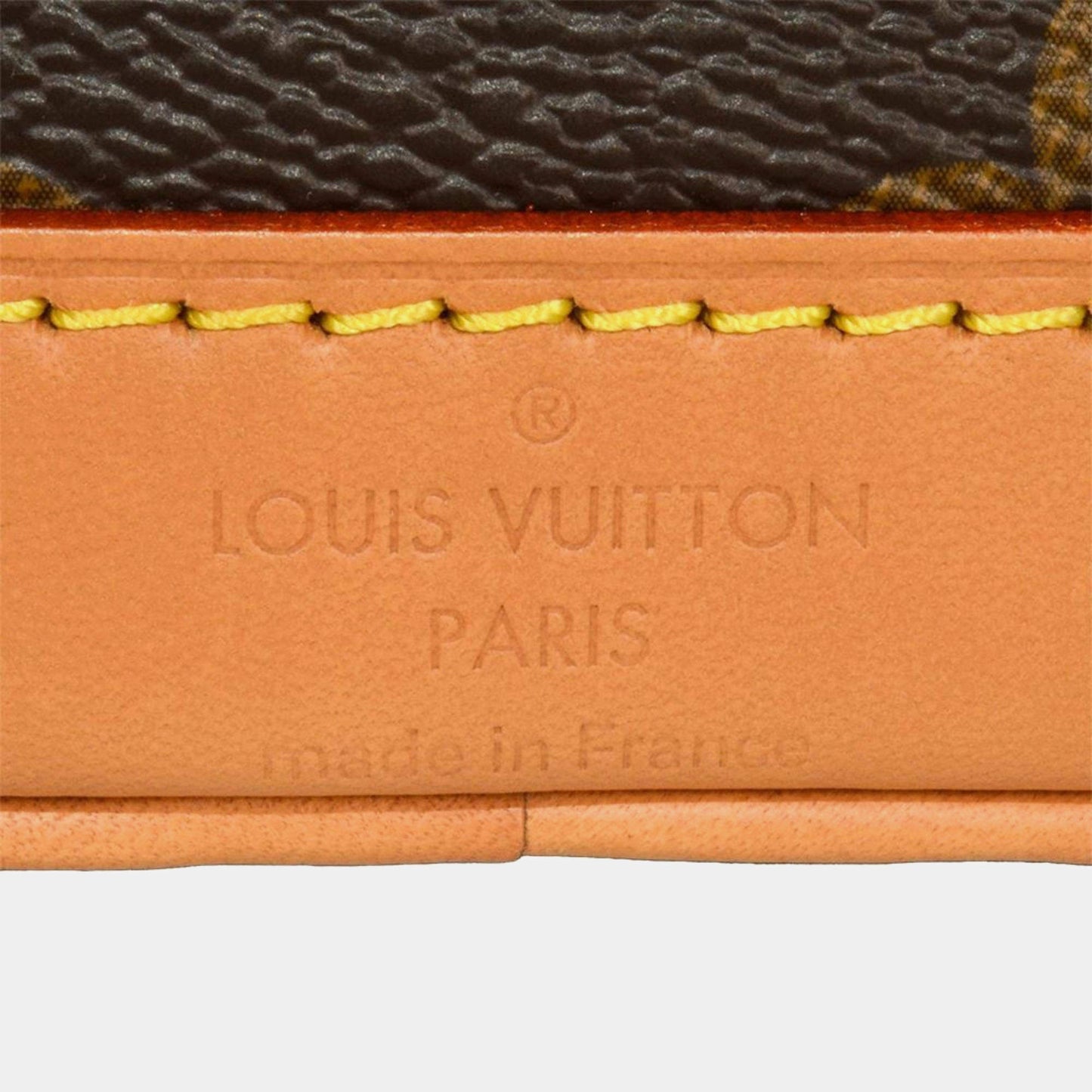 Nano Noé Monogram Canvas Bucket Bag | Brown