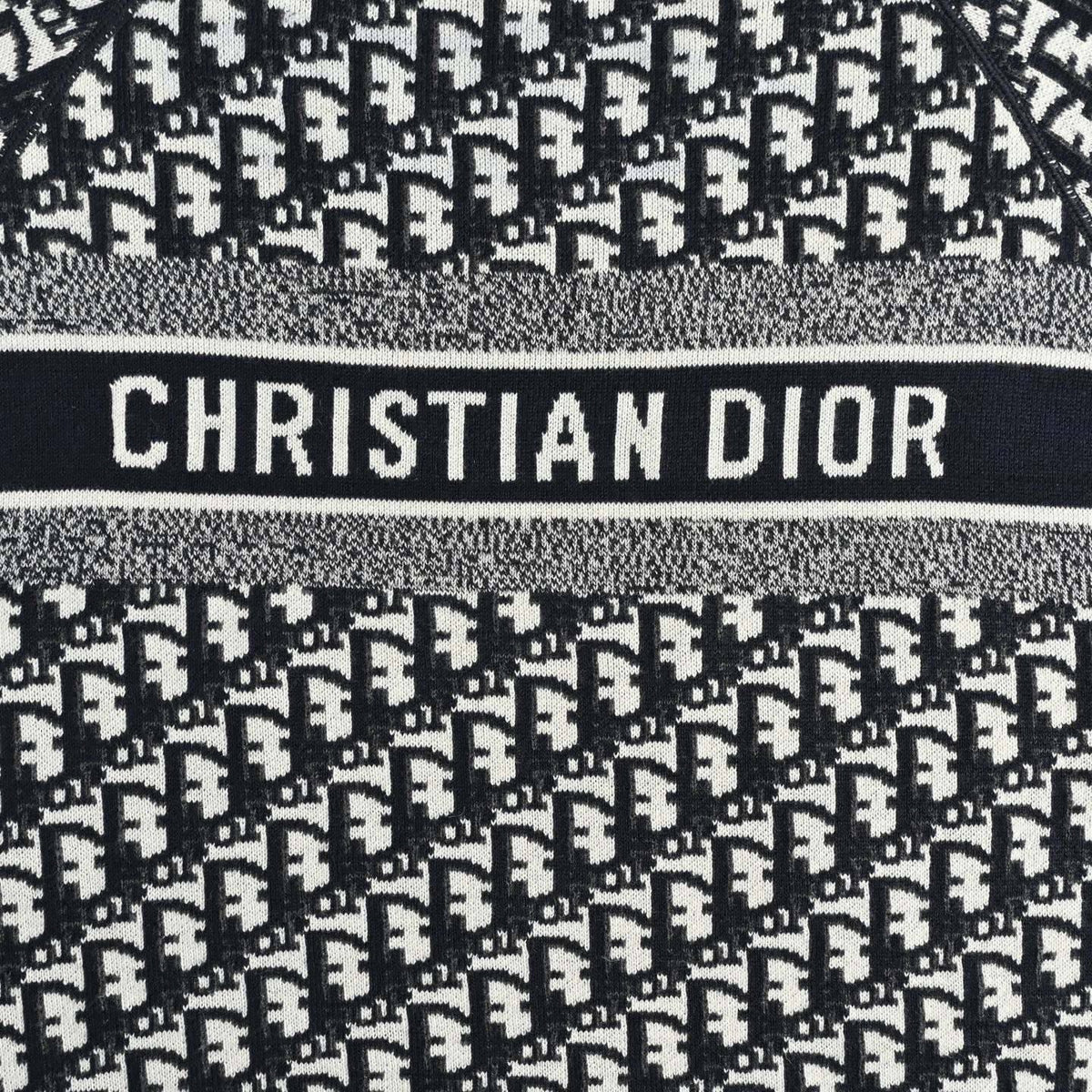 Reversible Oblique Jacquard Crewneck Sweater in Deep Navy & White
