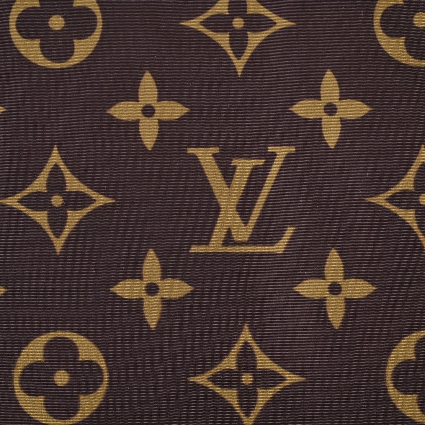 Reversible Damier & Monogram Windbreaker