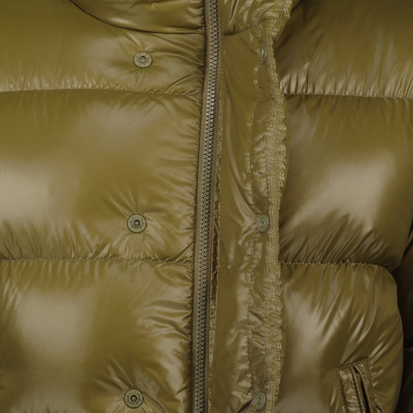 Tripiti Down Jacket