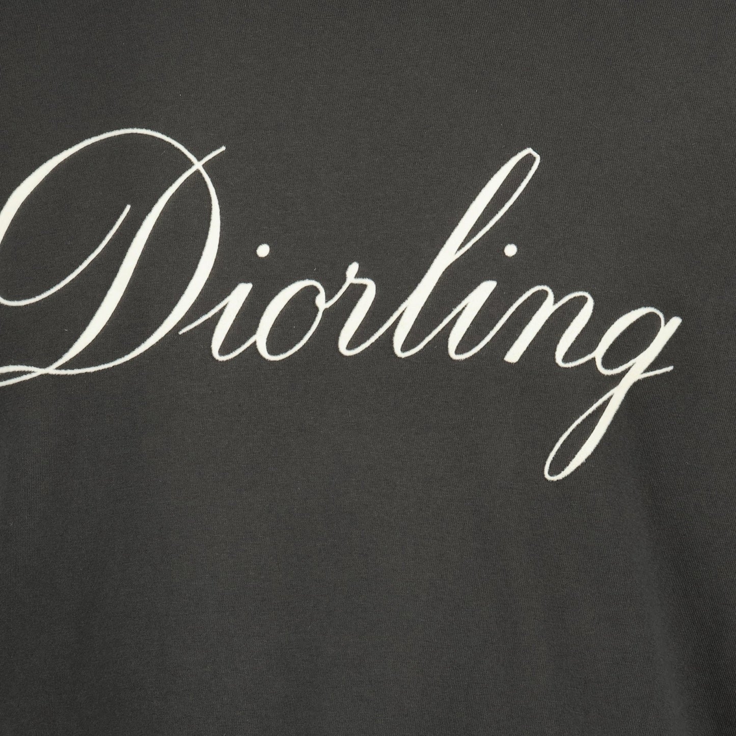 Diorling Grey T-shirt